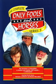 Only Fools and Horses: Season 5