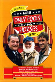 Only Fools and Horses: Season 7